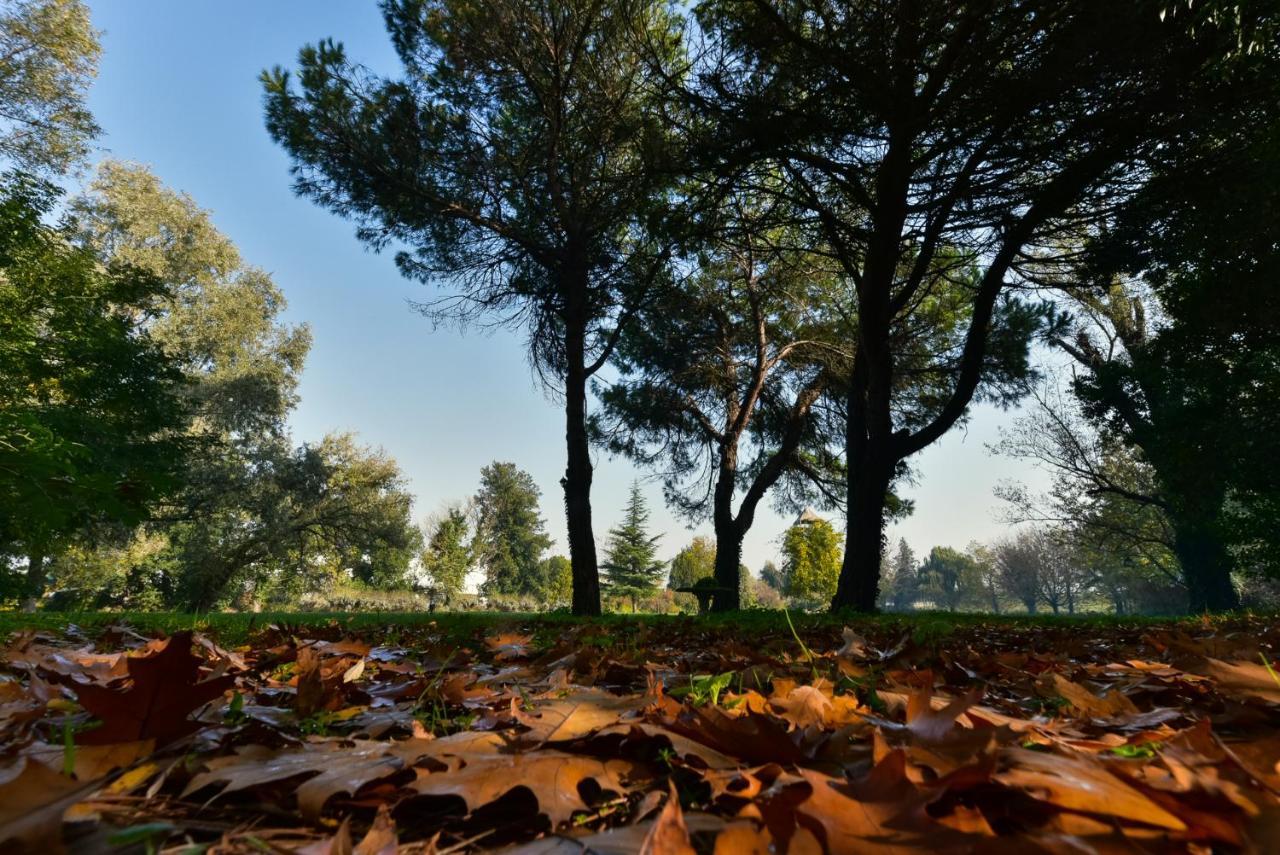 Villa Carrer Porto Viro Eksteriør billede